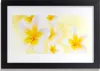 Bild 30x20 MDF-Rahmen Wandkunst Blumen Pflanzen Natur Produktbild-Vorschau 1