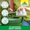 Neudorff Nützlinge gegen Ameisen – 10 Mio. SF-Nematoden Produktbild-Vorschau 7