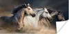 MuchoWow® Poster Pferde - Sand - Stoff 150x75 cm - ohne Produktbild-Vorschau 1