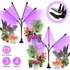 EINFEBEN 30W Pflanzenlampe LED, Dimmbar Pflanzenlicht mit Produktbild-Vorschau 4