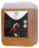 Liver Oil (huile de foie de morue) Voir les images du produit 3