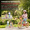 Rower dla dziewczynek Rower dziecięcy dla dziewczynek 16 Podgląd zdjęcia produktu 10