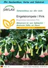 SAFLAX Geschenk Set - Engelstrompete / Pink - Brugmansia Produktbild-Vorschau 1