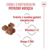 Royal Canin Chat – Trockenfutter für Mutterkatzen und Produktbild-Vorschau 14