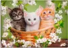 ARTland Leinwandbild Katzen sitzen in einem Korb Größe: Produktbild-Vorschau 1