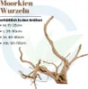 Moorkienholz Aquariumwurzel 15-25 cm Größe M, sinkend, für Produktbild-Vorschau 4
