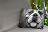 MuchoWow® Outdoor Kissen - Tierprofil Bulldogge in schwarz Produktbild-Vorschau 2