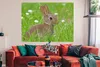 MuchoWow® Poster Kaninchen - Blumen - Gras 160x120 cm - Produktbild-Vorschau 3