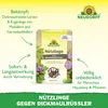 Neudorff Nützlinge gegen Dickmaulrüssler – 5 Mio. Produktbild-Vorschau 2
