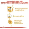 Royal Canin Francúzsky buldoček dospelý 9kg Náhľad obrázku produktu 7