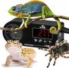 Terrario Myriaton Régulateur de température - thermostat Voir les images du produit 7