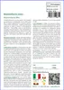 SAFLAX  - Mammillaria (mix) - 40 semi - Mammilaria Anteprima dell’immagine prodotto 3