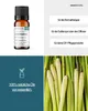 Lemongras (10ml) - naturreines, ätherisches Öl von Produktbild-Vorschau 2