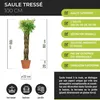 Wicker garden Arbre osier 100 cm - Résistant à l'hiver & Voir les images du produit 2