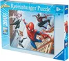 200 PC-Spinne Náhled obrázku produktu 3