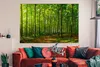 OneMillionCanvasses® - Leinwandbilder - 150x100 cm, Wald - Produktbild-Vorschau 2