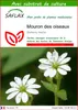 SAFLAX  - Mouron des oiseaux - 1000 graines - Avec substrat Voir les images du produit 1