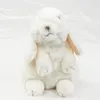 Hase sitzend weiß 18 cm Uni-Toys Kuscheltier Produktbild-Vorschau 3
