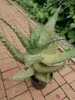 Aloe Marlothii ca. 70 cm - Aloë - Mountain Aloe - Mighty - Náhled obrázku produktu 3