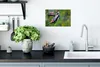 MuchoWow® Poster Ein Buntspecht beim Fressen 30x20 cm - Produktbild-Vorschau 3