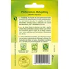 Quedlinburger Saatgut - Pfefferminze - Samen - 494952 Produktbild-Vorschau 4