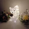 DECOLED LED světelná veverka, akryl, 30 cm, teple bílá Náhled obrázku produktu 4