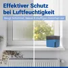 WENKO Raumentfeuchter Mod. Cube Blau 1000 g & Nachfüller, Produktbild-Vorschau 4