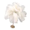 Lampa stołowa z piór strusia, lampa z piór strusia, lampa Podgląd zdjęcia produktu 6