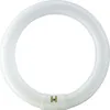 Lampada Phi ringf. 22W/840 Anteprima dell’immagine prodotto 1
