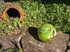 Palla di vetro di ricambio verde Palla di ricambio verde - Anteprima dell’immagine prodotto 3