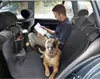 Karlie Auto-Schondecke - Autodecken - Polyester - Schwarz - Produktbild-Vorschau 4