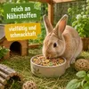 25 kg Nagerfutter Zwergkaninchen Meerschweinchen Hamster Produktbild-Vorschau 3