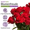 Blumenstrauß Einfach Liebe | Geschenk - frische Blumen | Produktbild-Vorschau 2