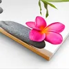 Bild auf Leinwand - Leinwandbild - Einteilig - Ruhig blume Produktbild-Vorschau 5