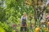 Gardena 17700-20 pelle/trolle Truelle de jardin Acier Noir, Voir les images du produit 2