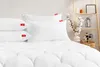 SOFTIMI, Hochwertige Mikrofaser Ganzjahresdecke 100x135 cm Produktbild-Vorschau 4