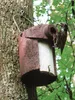 A starling bird is perched on a birdhouse attached to a tree, with a worm in its beak. Náhľad obrázku produktu