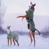 Veste d'hiver Warmup 2.0 de Rukka Pets, Taille:50 cm, Voir les images du produit 5