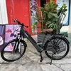 An electric bicycle is parked on a sidewalk in front of a red door and a planter with greenery. Produktbild-Vorschau