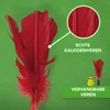 Indiaca - Play - Peteca Play Productafbeelding-voorbeeld 4