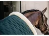 Kentucky Horsewear Turnierdecke 160g Show Rug Dark Green Produktbild-Vorschau 11