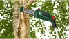 Bosch UniversalChainPole 18 - Astschere/Hochentaster - Anteprima dell’immagine prodotto 3