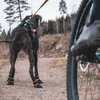 A dog wearing booties is on a dirt path with a bicycle wheel in the foreground. Produktbild-Vorschau