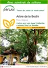 SAFLAX  - Arbre de la Bodhi - 100 graines - Avec substrat - Voir les images du produit 1