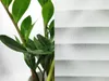 Statisch Fensterfolie 90x100 cm - Erika - Sichtschutzfolie Produktbild-Vorschau 7