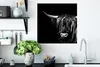 MuchoWow® Poster Schottischer Highlander - Horn - Schwarz - Produktbild-Vorschau 3