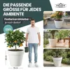 2 x XXL Pflanzkübel / Pflanztopf „LIKE“ Ø79xH70 cm - Weiß - Produktbild-Vorschau 5