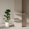 Figowiec chiński – Ficus Microcarpa Ginseng – bonsai Podgląd zdjęcia produktu 2