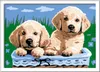 Ravensburger Malen nach Zahlen 27839 - Süße Hundewelpen – Produktbild-Vorschau 1