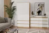 A modern living room with a wardrobe and a dresser, a sofa, and a coffee table. Anteprima dell’immagine prodotto